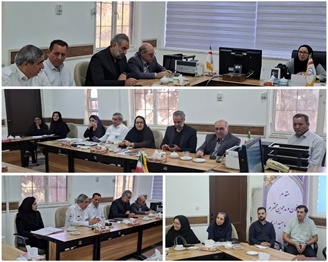 برگزاری نشست تخصصی بررسی وضعیت سکته‌های قلبی و راهکارهای پیشگیری و درمان در معاونت درمان 